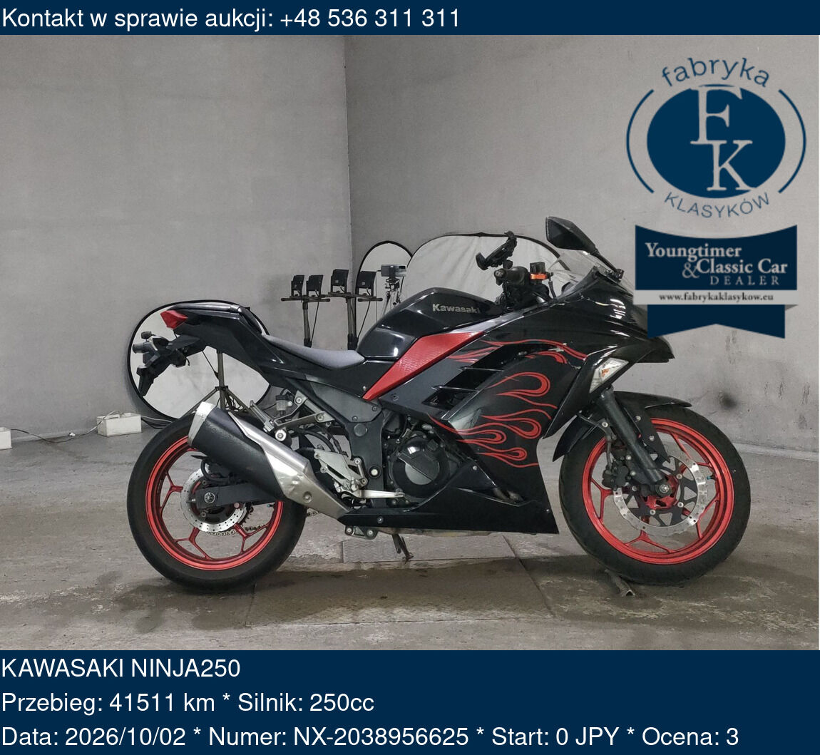 KAWASAKI NINJA250 - zdjęcie 2