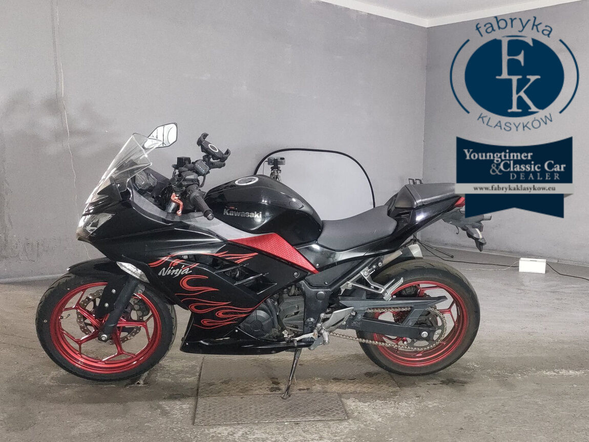 KAWASAKI NINJA250 - zdjęcie 3