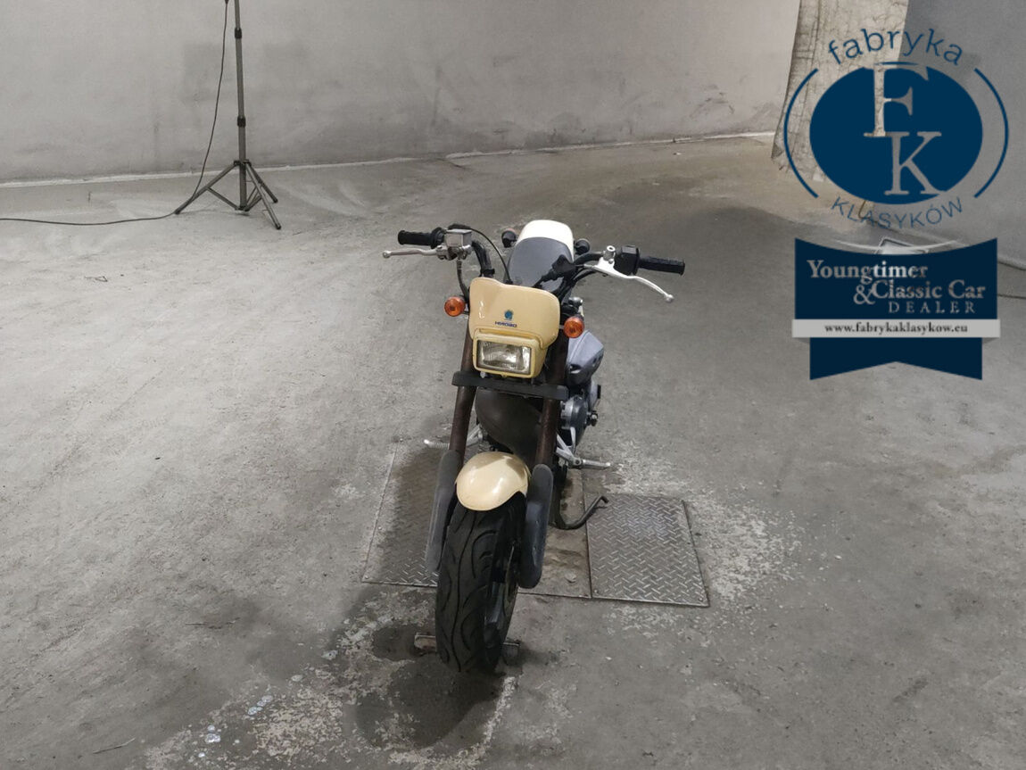 SUZUKI STREET MAGIC  - zdjęcie 4