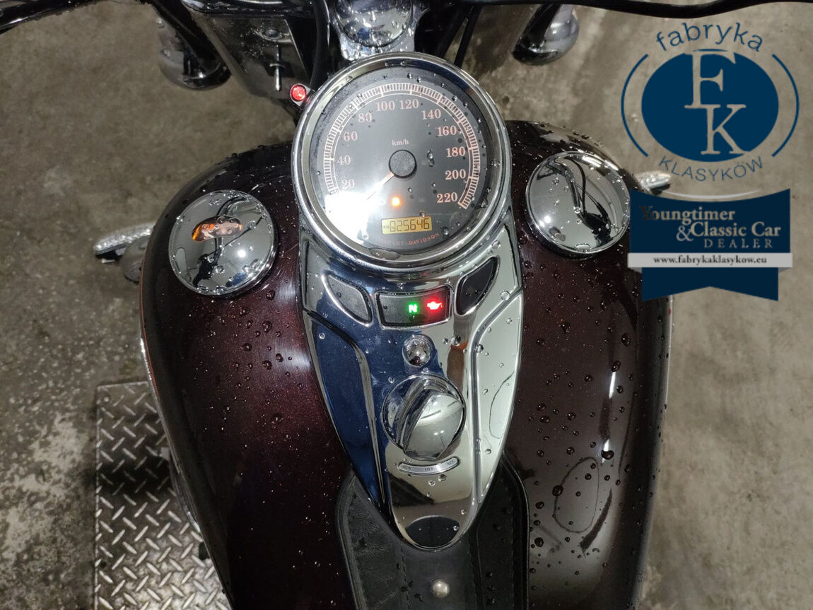 HARLEY-DAVIDSON FLSTC1580 2011 - zdjęcie 6