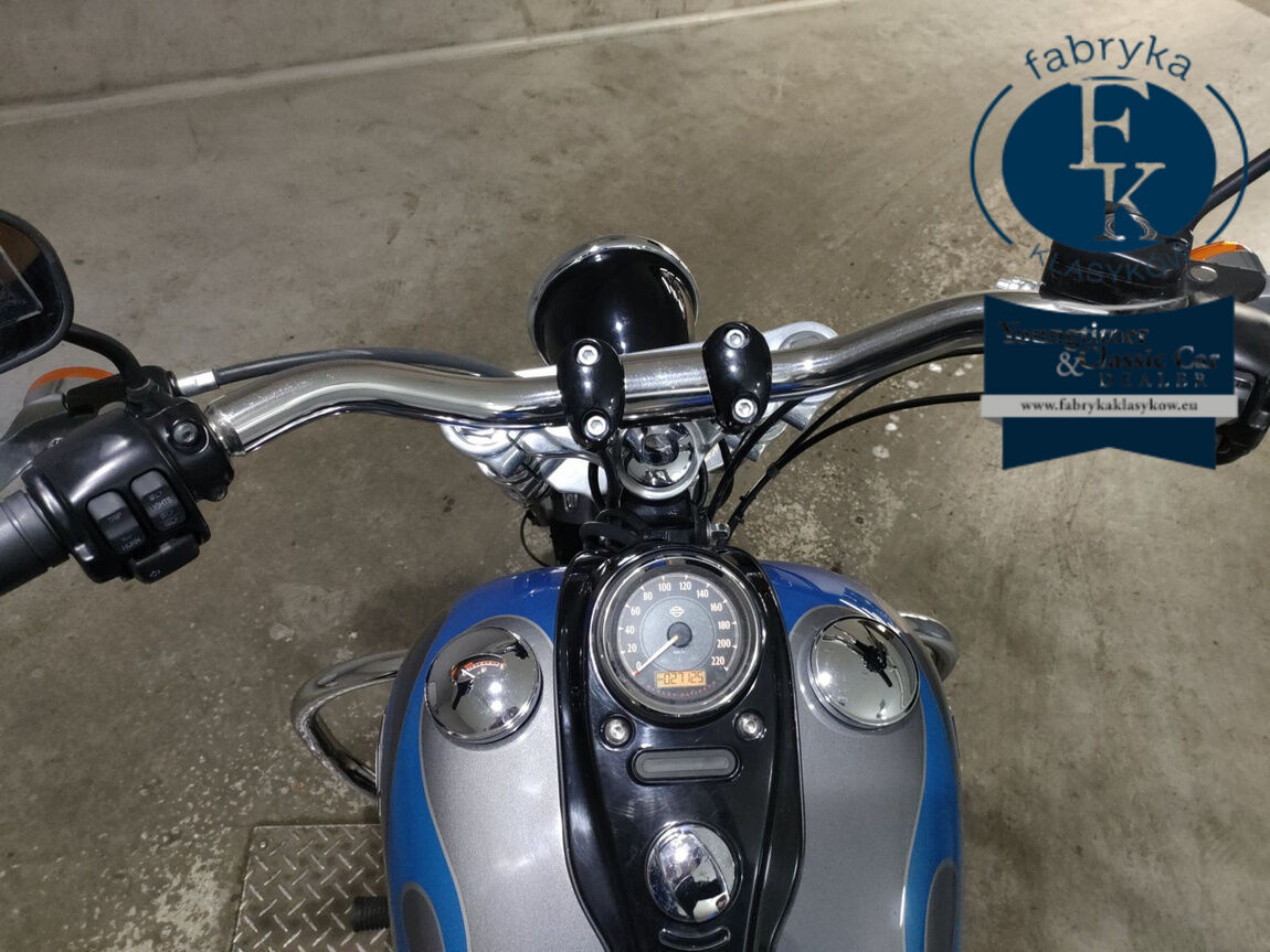HARLEY-DAVIDSON FXDWG1580 2015 - zdjęcie 6