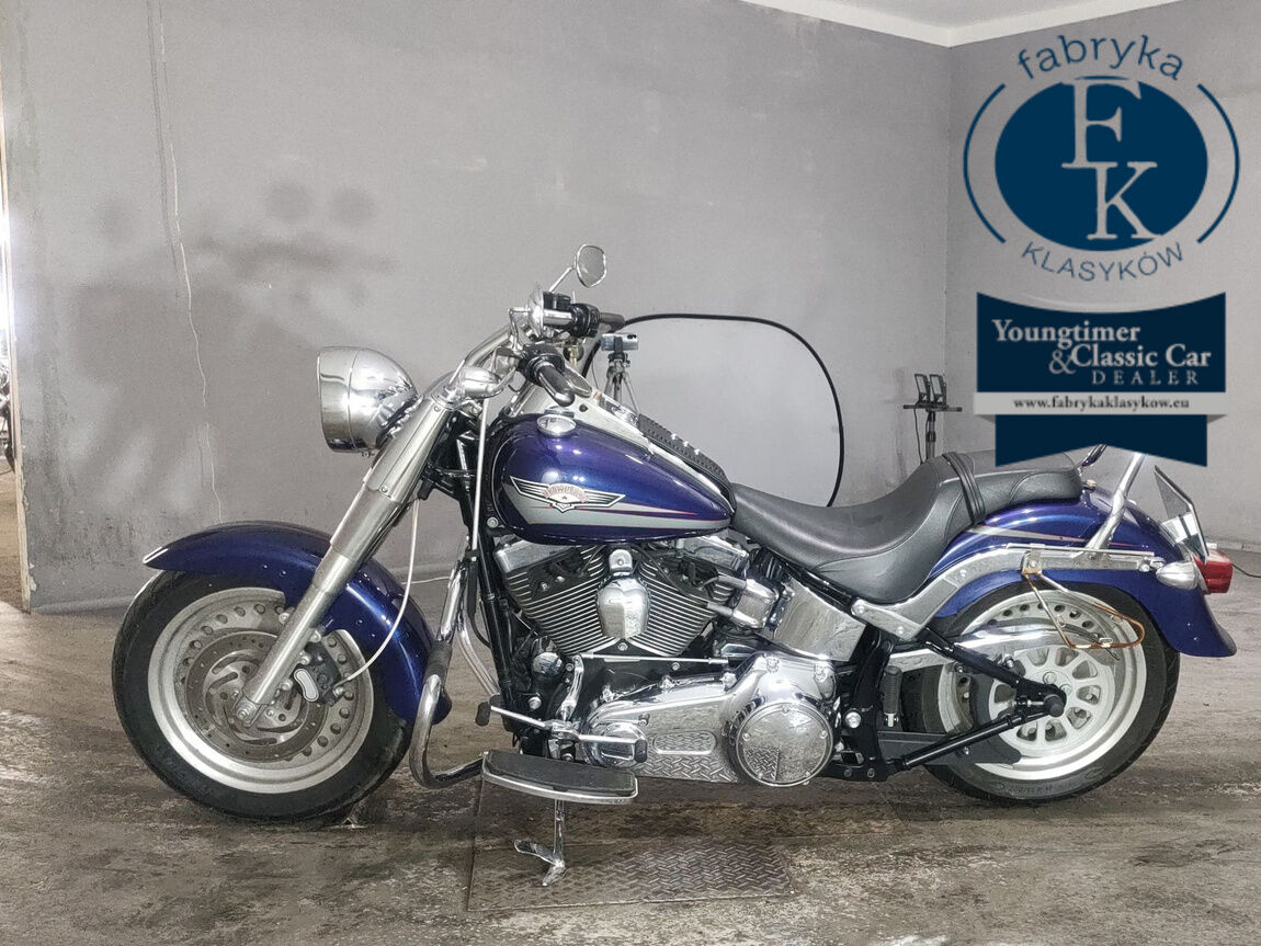 HARLEY-DAVIDSON FLSTF1580 2007 - zdjęcie 3