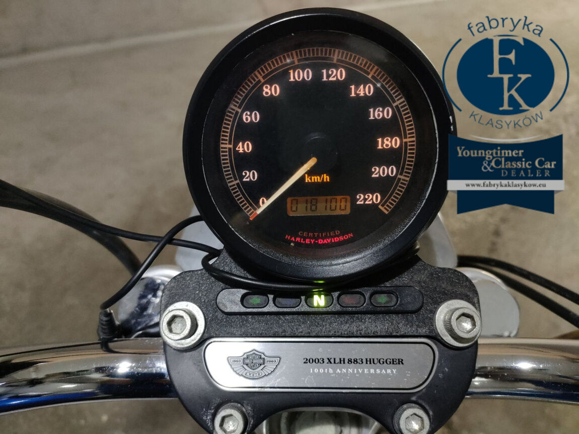HARLEY-DAVIDSON XLH883  - zdjęcie 6