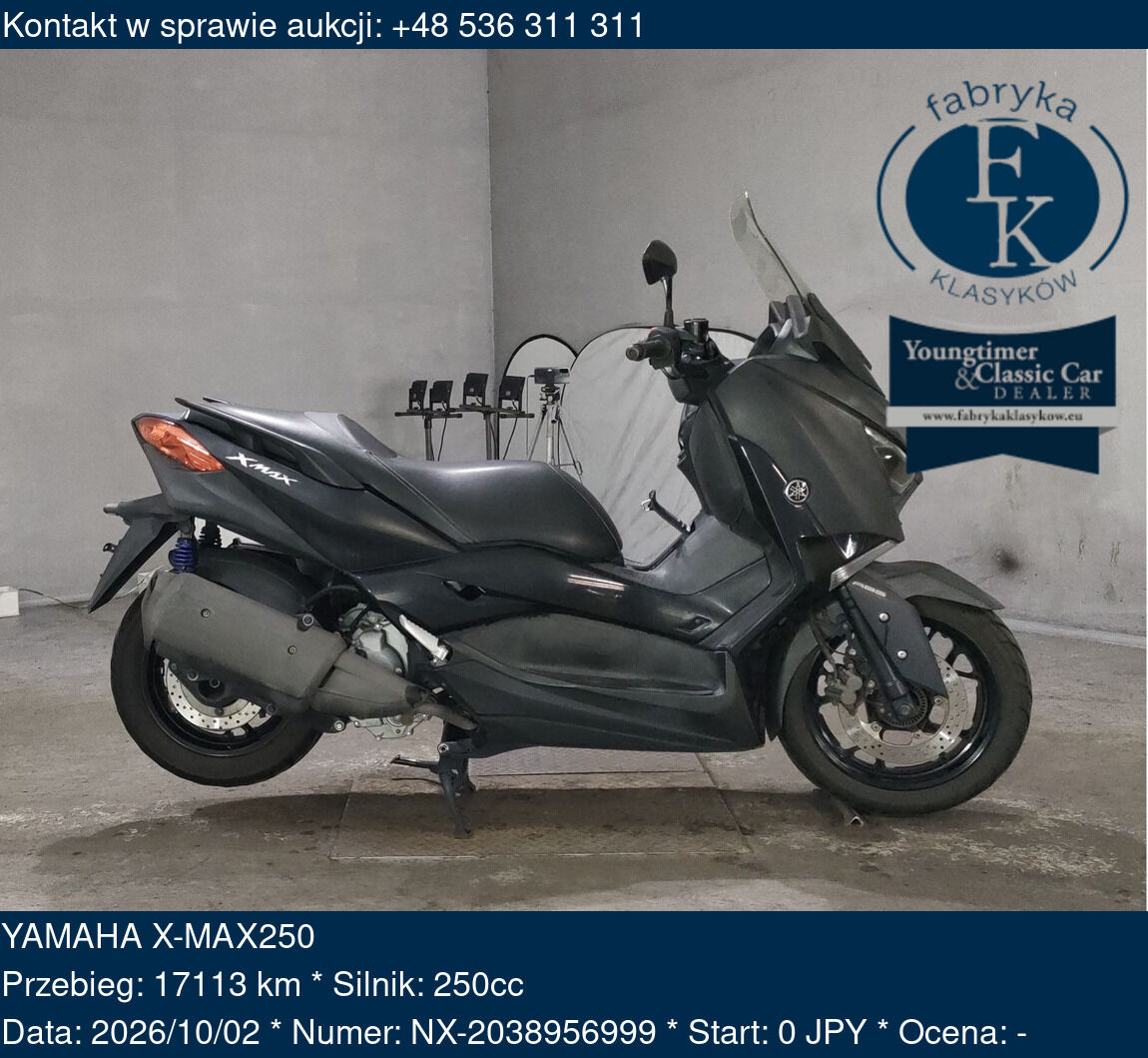 YAMAHA X-MAX250  - zdjęcie 2