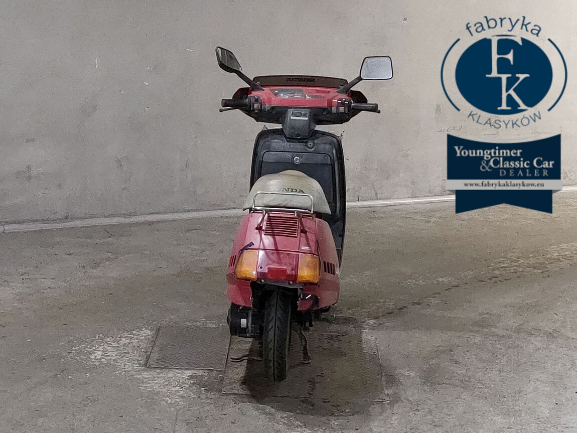 HONDA LEAD 50  - zdjęcie 5