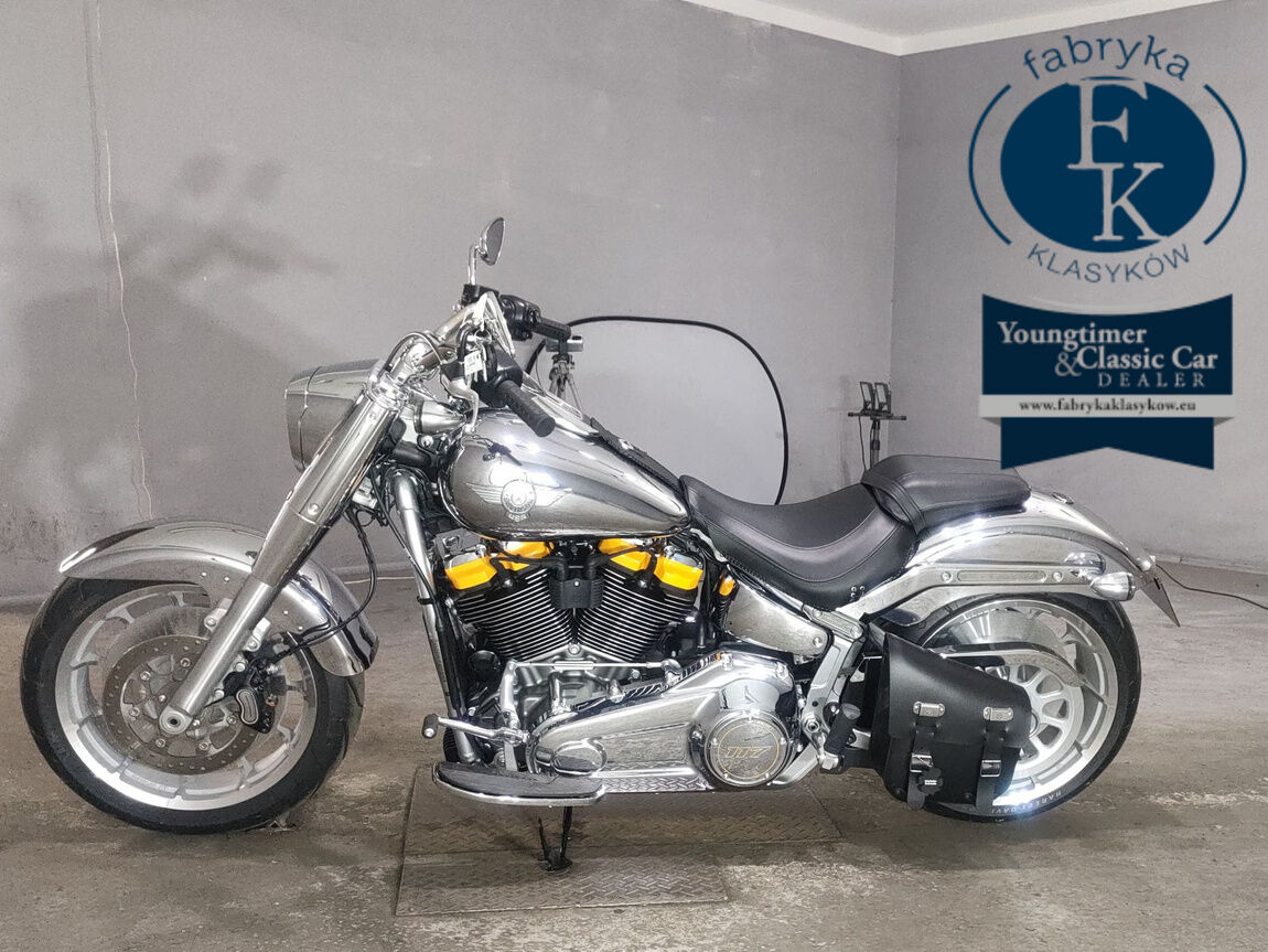 HARLEY-DAVIDSON FLSTFI1920 2025 - zdjęcie 3