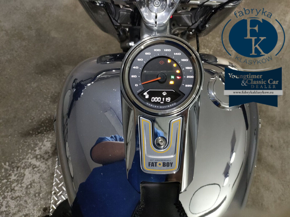 HARLEY-DAVIDSON FLSTFI1920 2025 - zdjęcie 6