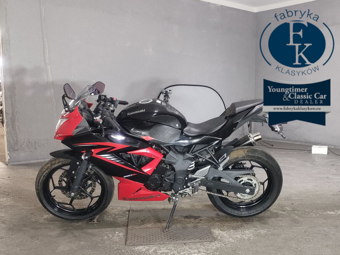 KAWASAKI NINJA250SL  - zdjęcie 3