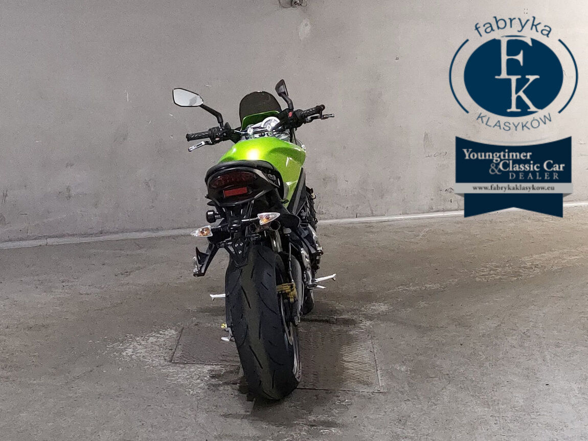 TRIUMPH STREET TRIPLE 2010 - zdjęcie 5