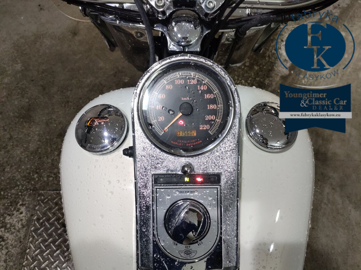 HARLEY-DAVIDSON FLSTF1450 2003 - zdjęcie 6