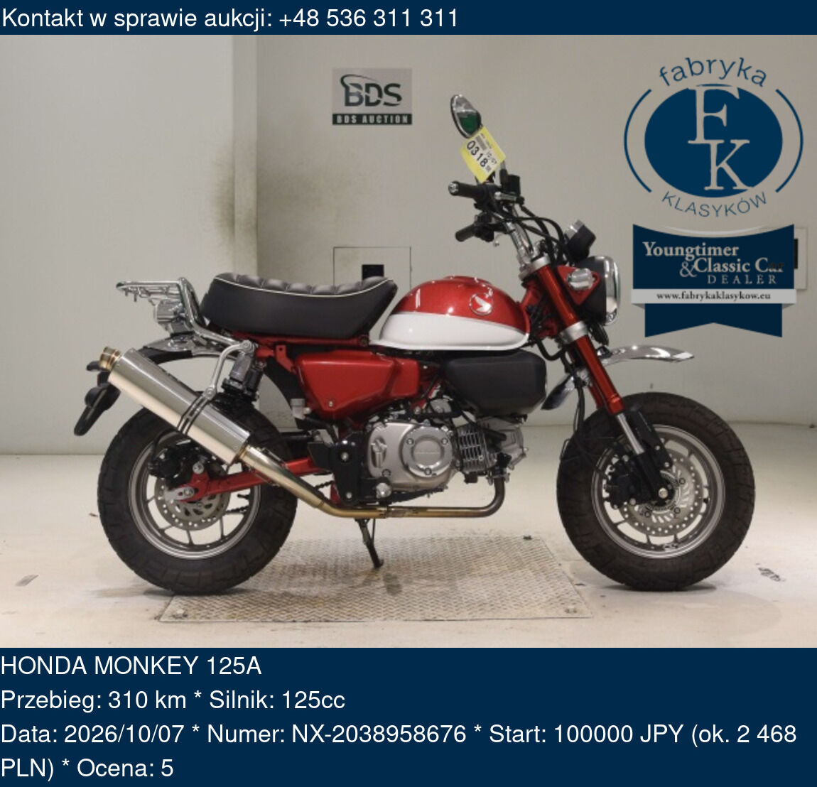 HONDA MONKEY 125A  - zdjęcie 2