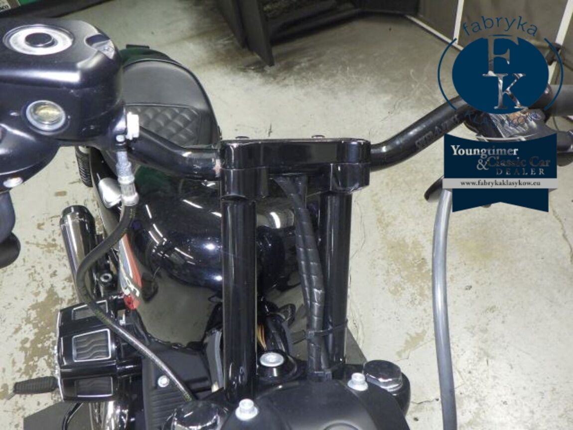 HARLEY-DAVIDSON XL1200NS 2020 - zdjęcie 23
