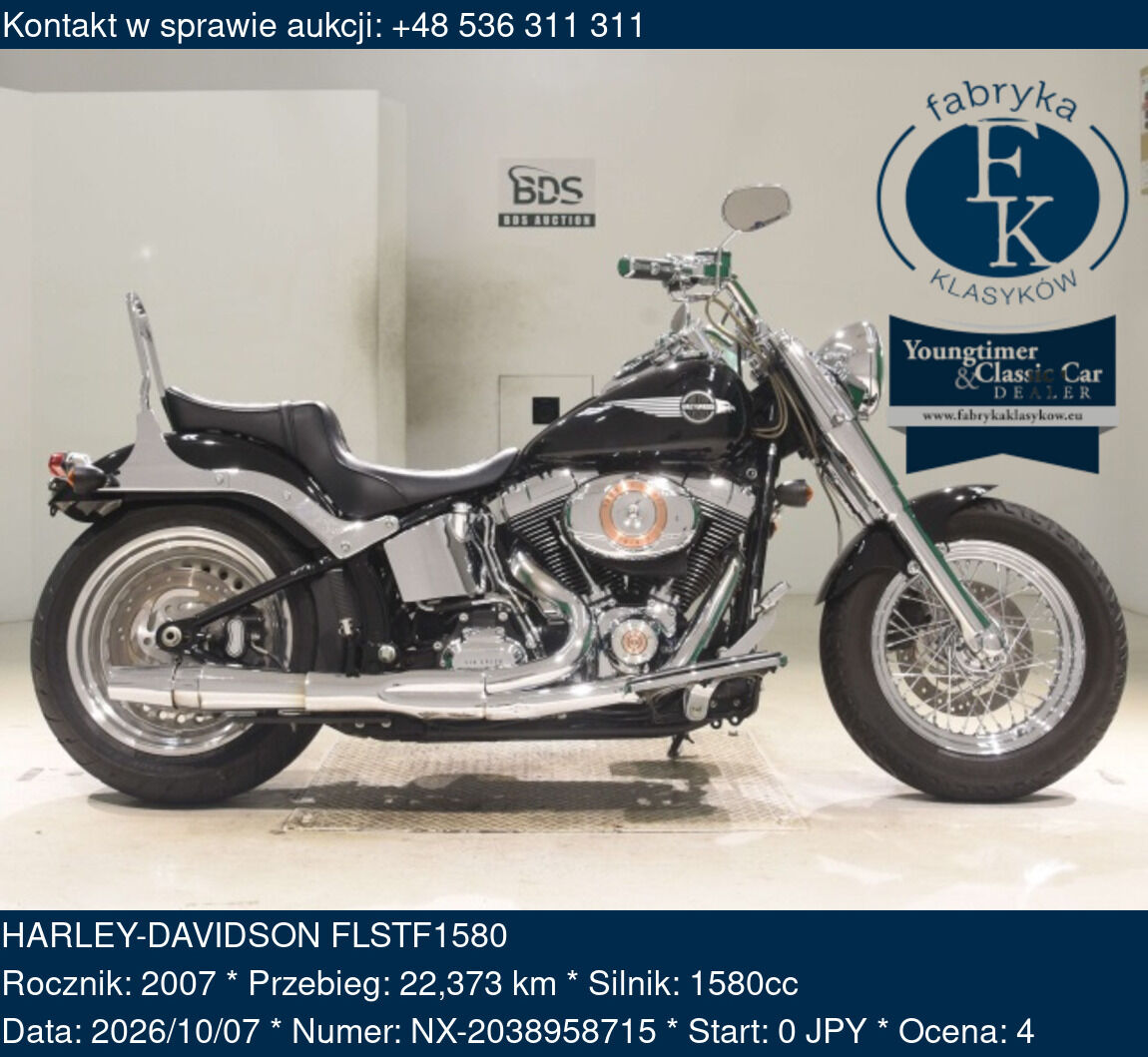 HARLEY-DAVIDSON FLSTF1580 2007 - zdjęcie 2