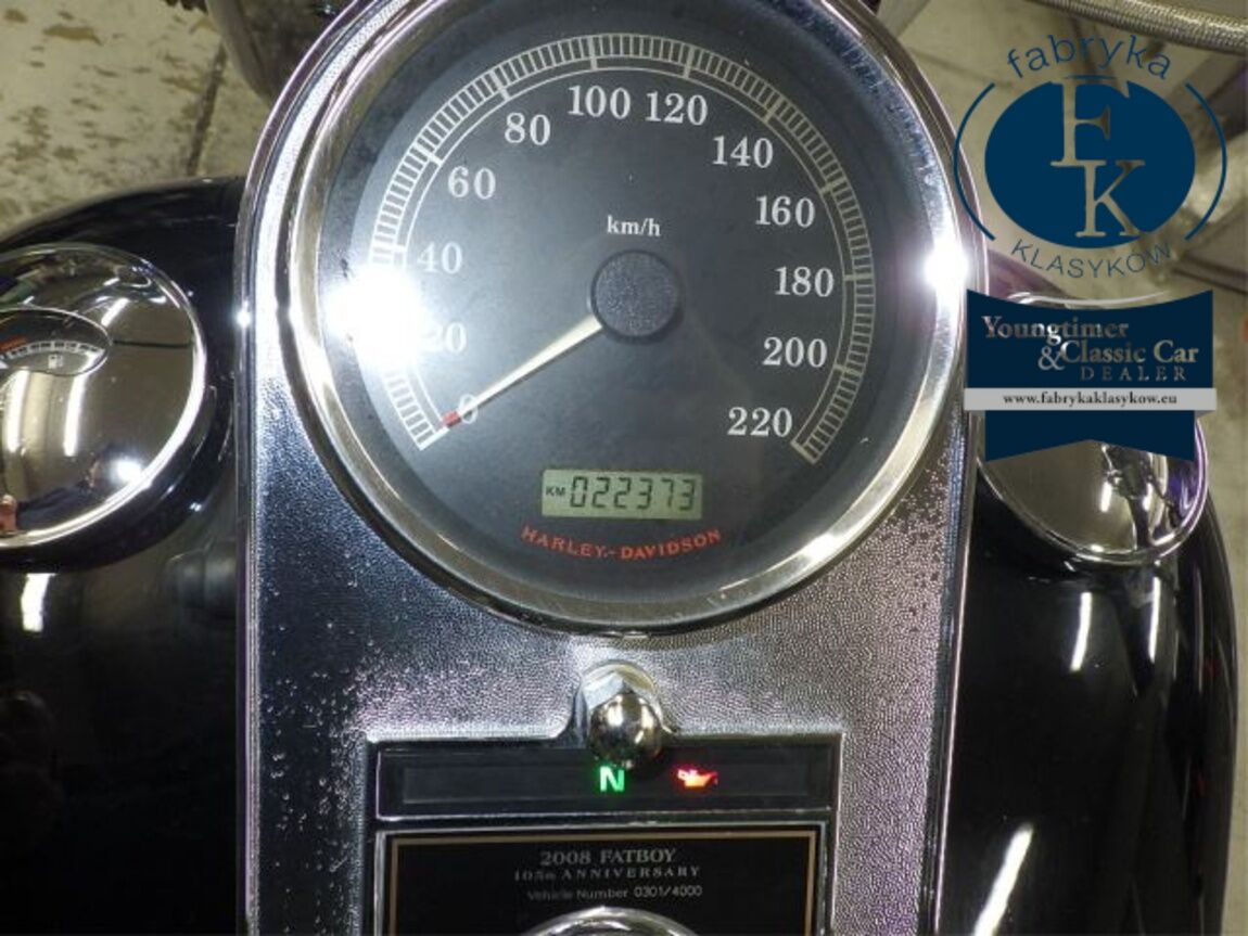 HARLEY-DAVIDSON FLSTF1580 2007 - zdjęcie 13