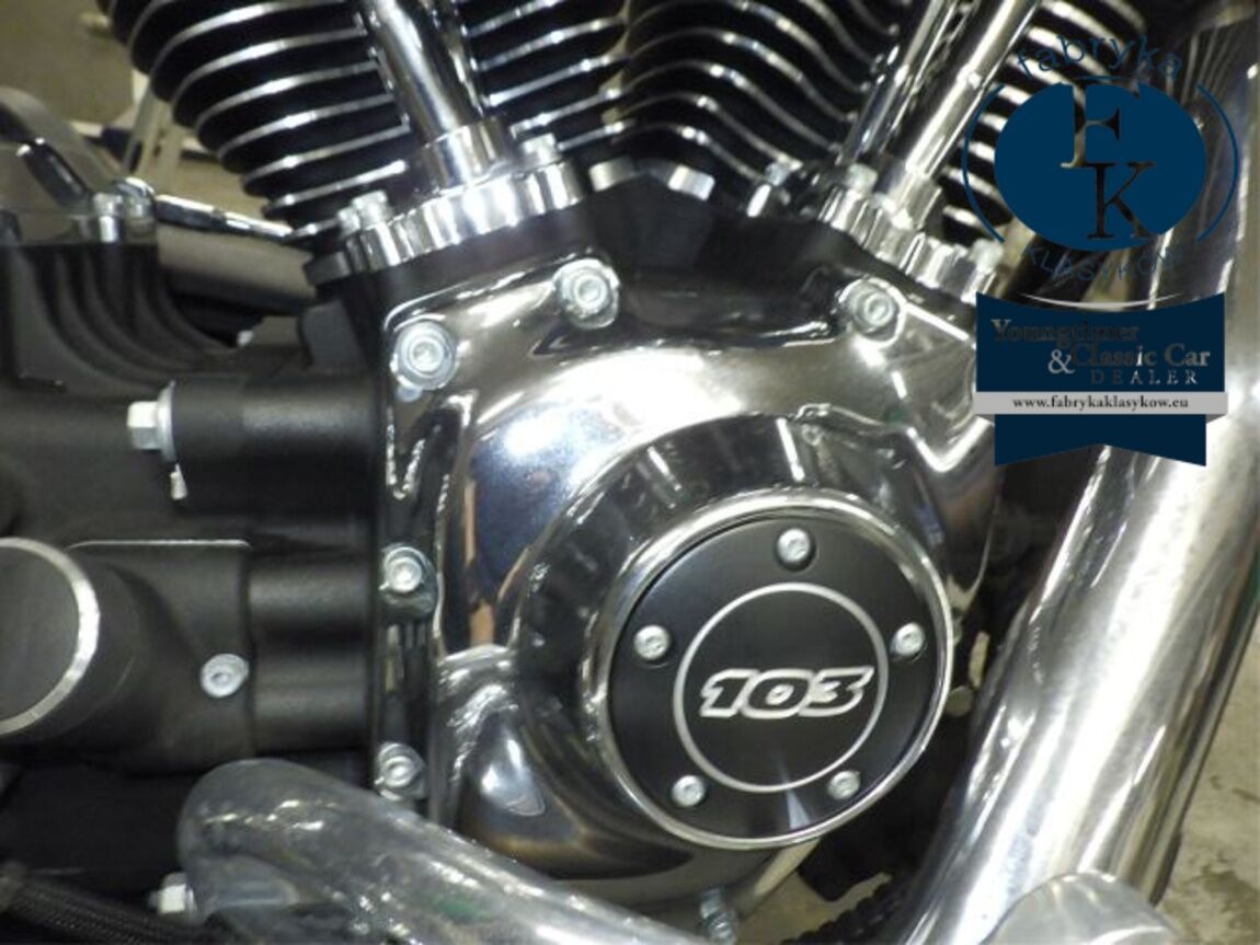 HARLEY-DAVIDSON FXDL1690 2017 - zdjęcie 11