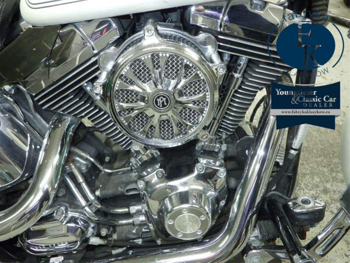 HARLEY-DAVIDSON FLSTF1580 2008 - zdjęcie 9