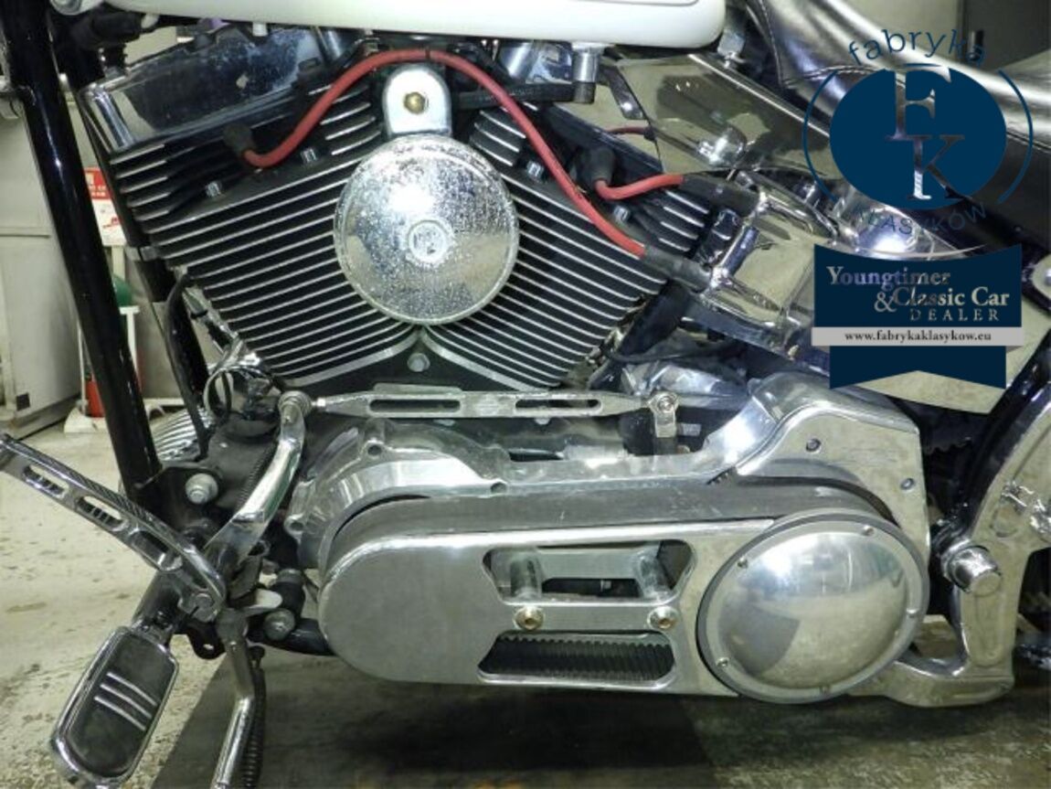 HARLEY-DAVIDSON FLSTF1580 2008 - zdjęcie 10