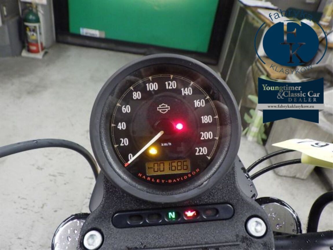 HARLEY-DAVIDSON XL883N 2014 - zdjęcie 13