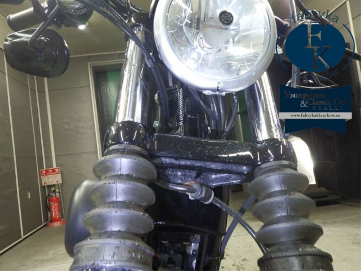 HARLEY-DAVIDSON XL883N 2014 - zdjęcie 24