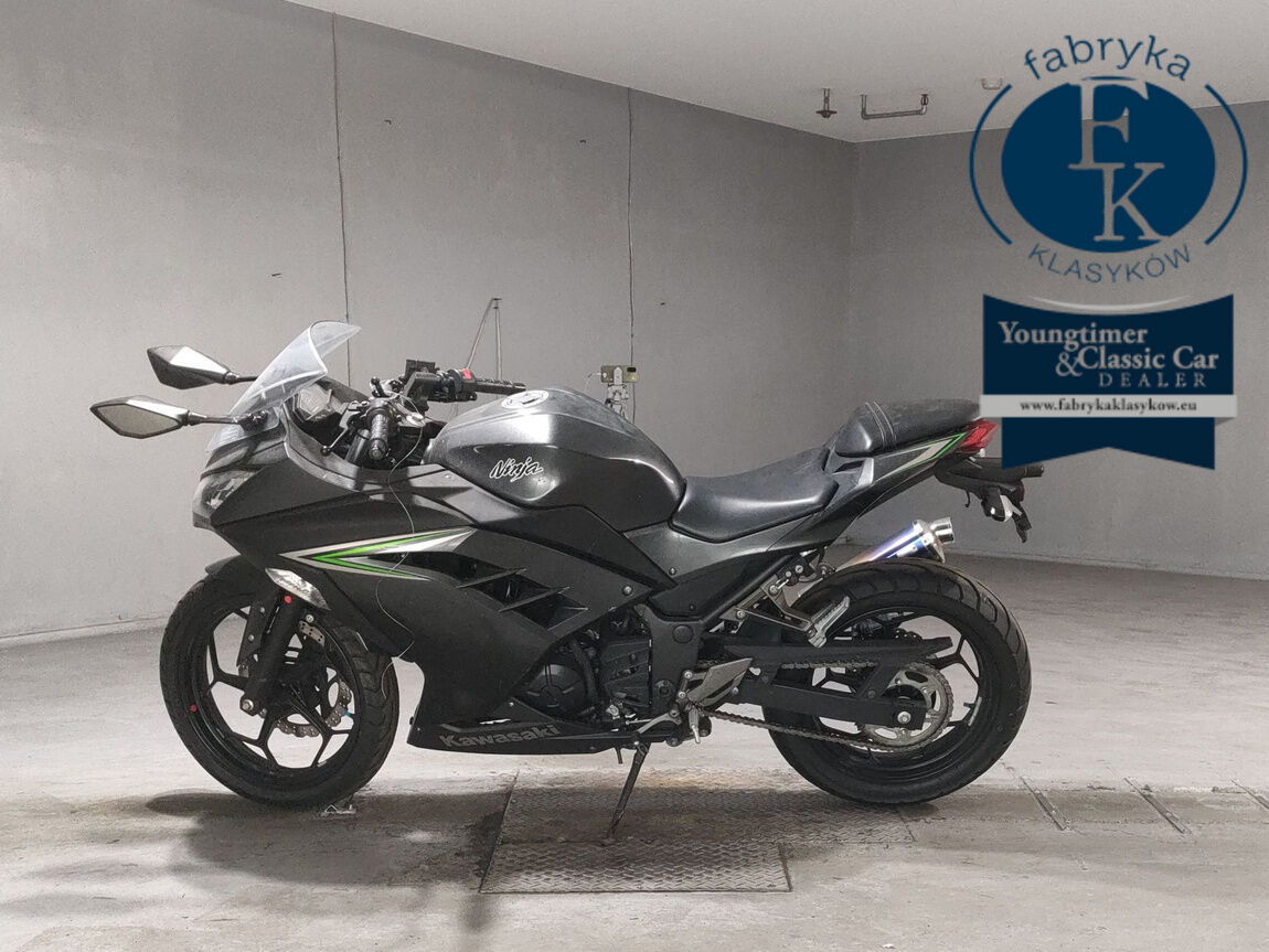 KAWASAKI NINJA250 - zdjęcie 3