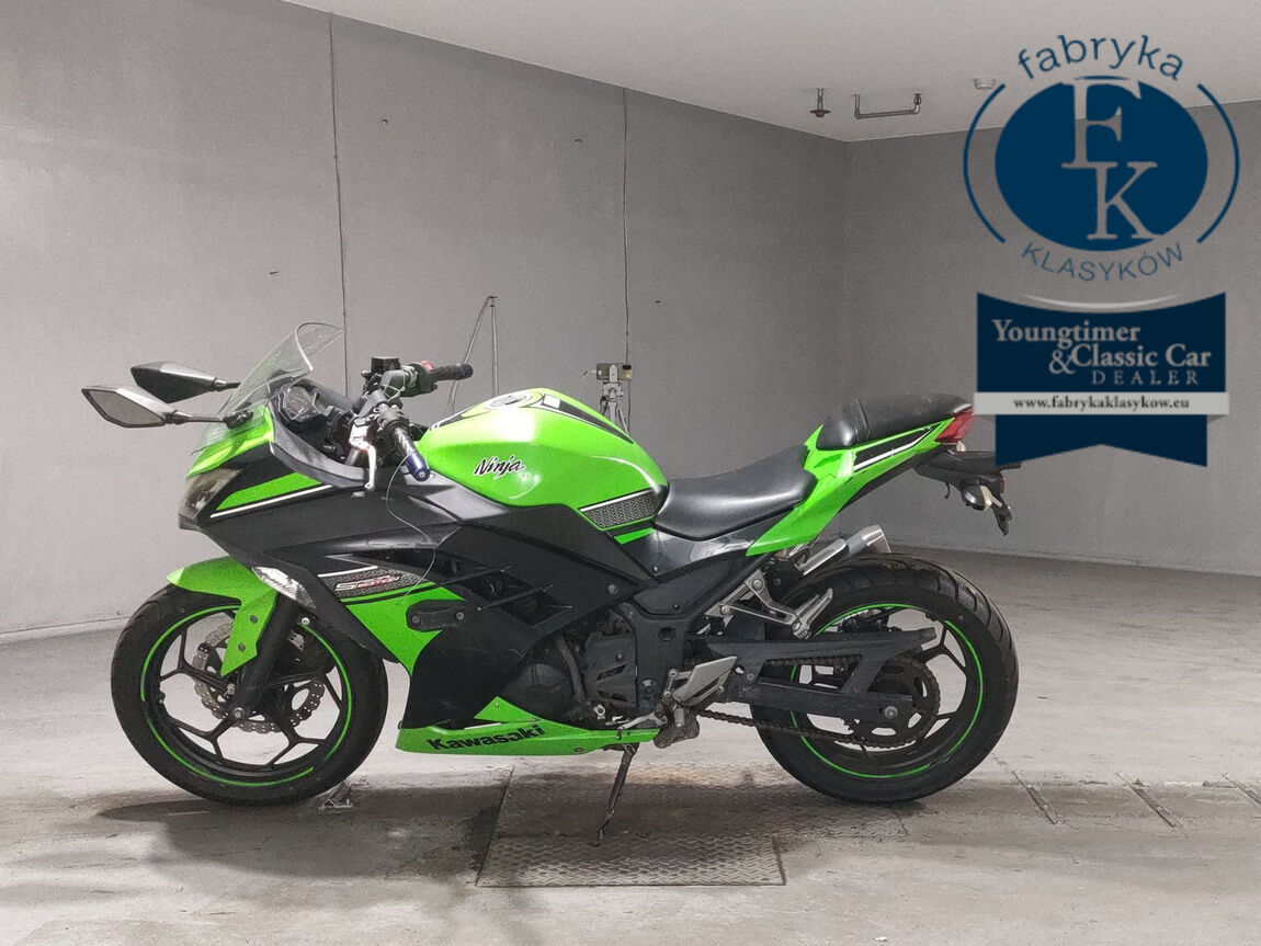 KAWASAKI NINJA250 - zdjęcie 3
