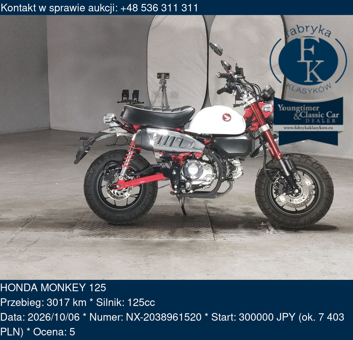HONDA MONKEY 125  - zdjęcie 2