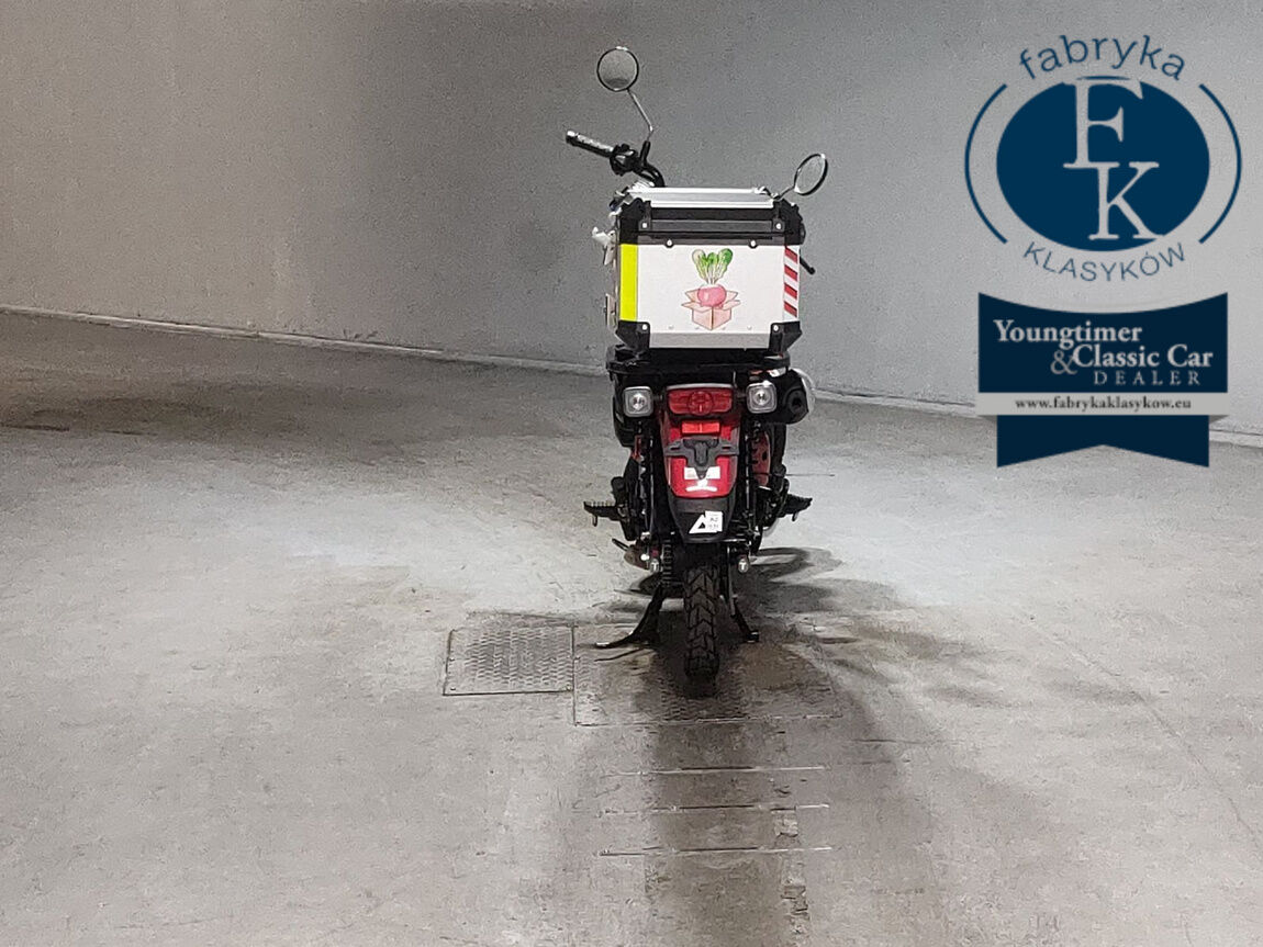 HONDA CT125 HUNTER CUB  - zdjęcie 5