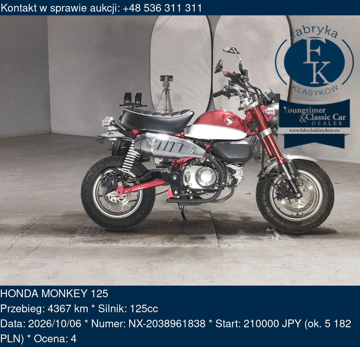 HONDA MONKEY 125  - zdjęcie 2