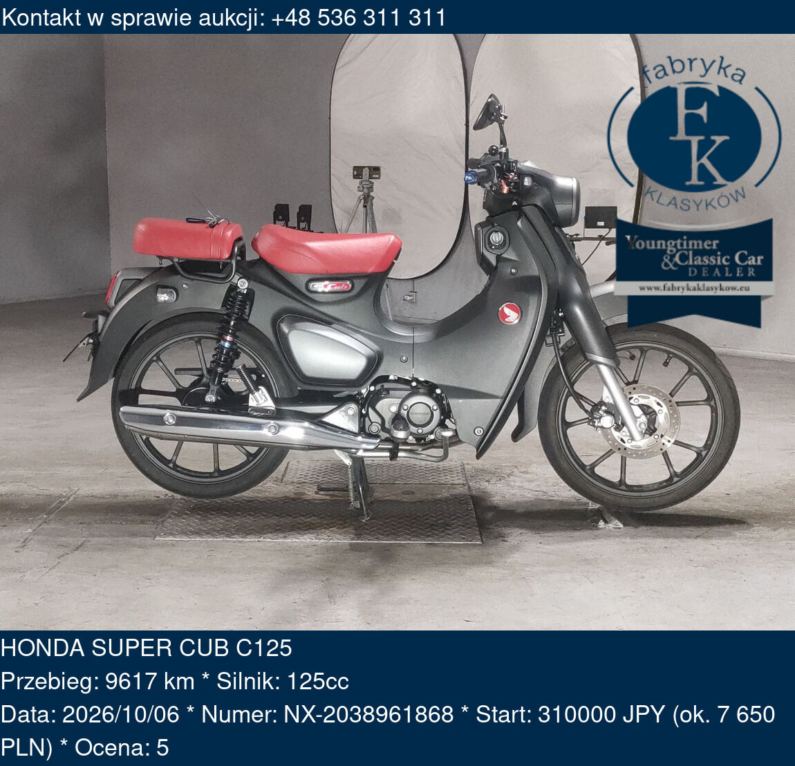HONDA SUPER CUB C125  - zdjęcie 2