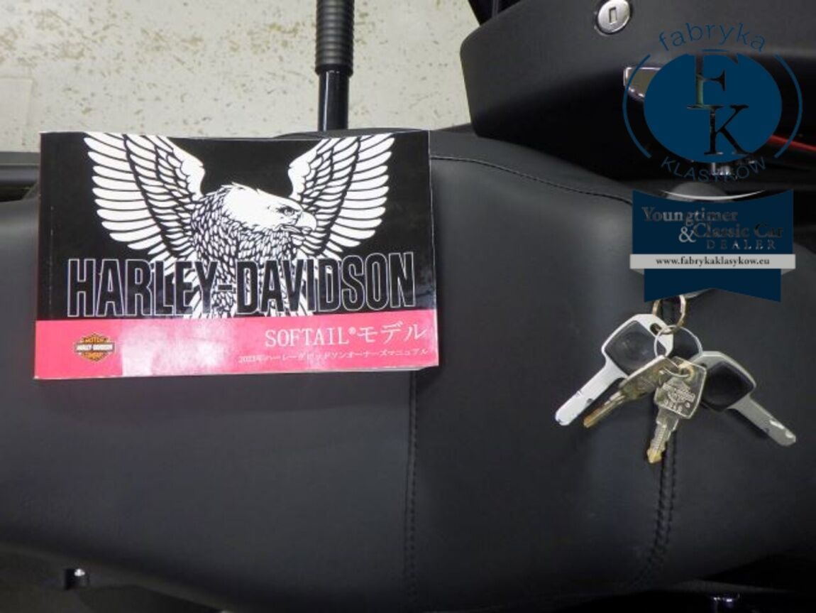 HARLEY-DAVIDSON FXLRST1920 2024 - zdjęcie 14