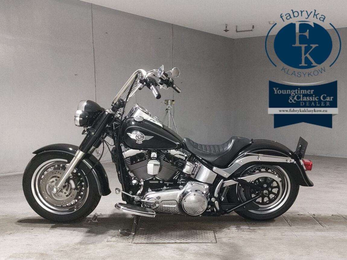 HARLEY-DAVIDSON FLSTF1580 2013 - zdjęcie 3