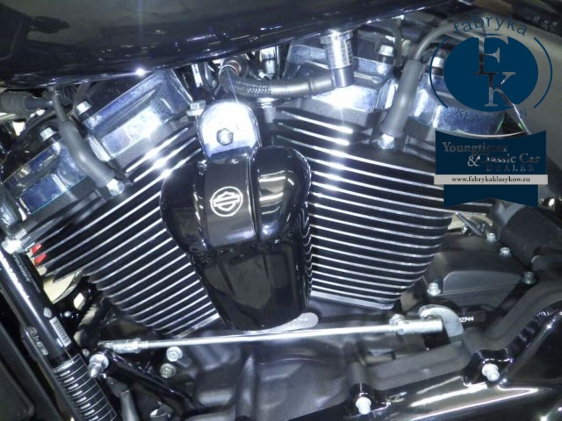 HARLEY-DAVIDSON FLHXS1870 2019 - zdjęcie 9