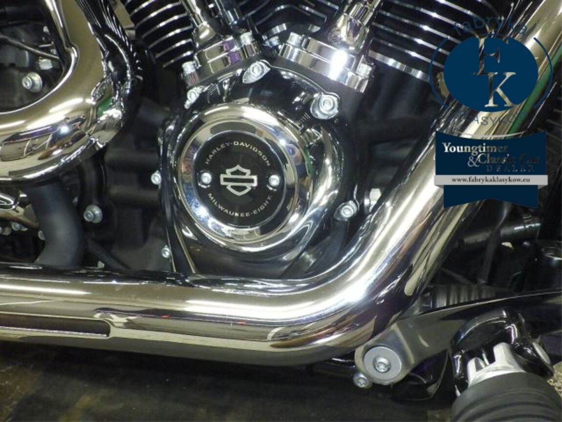 HARLEY-DAVIDSON FXBR1920 2025 - zdjęcie 9