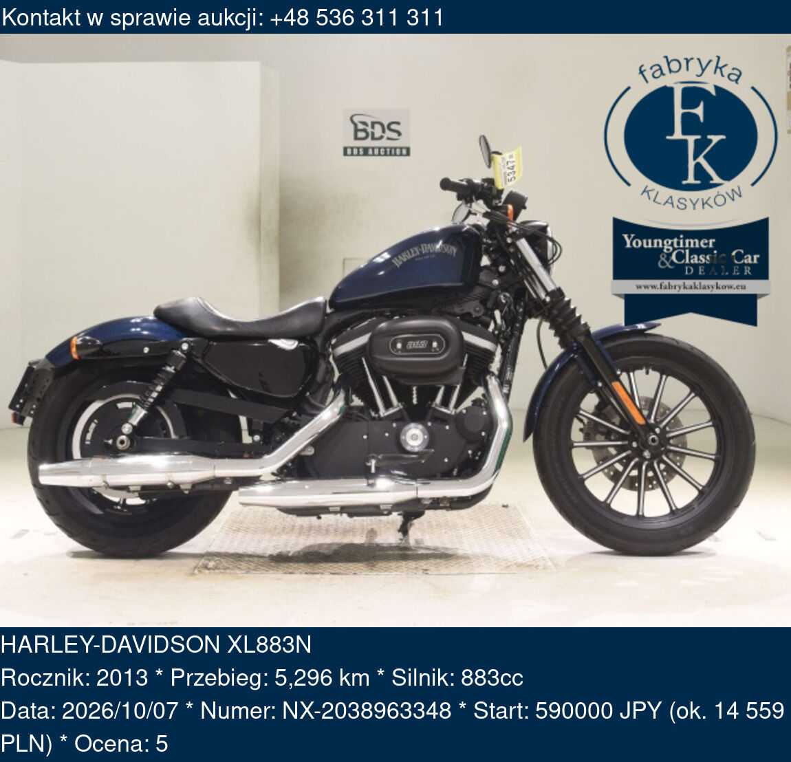 HARLEY-DAVIDSON XL883N 2013 - zdjęcie 2