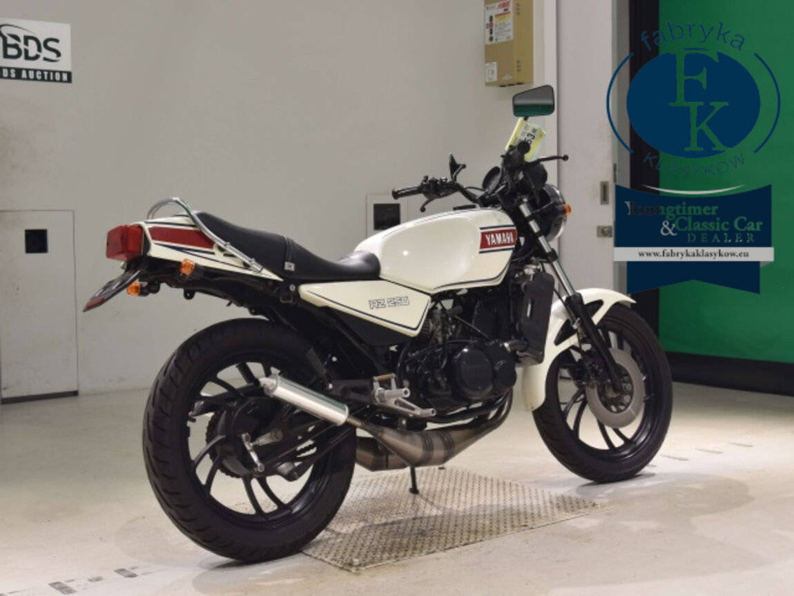 YAMAHA RZ250  - zdjęcie 6