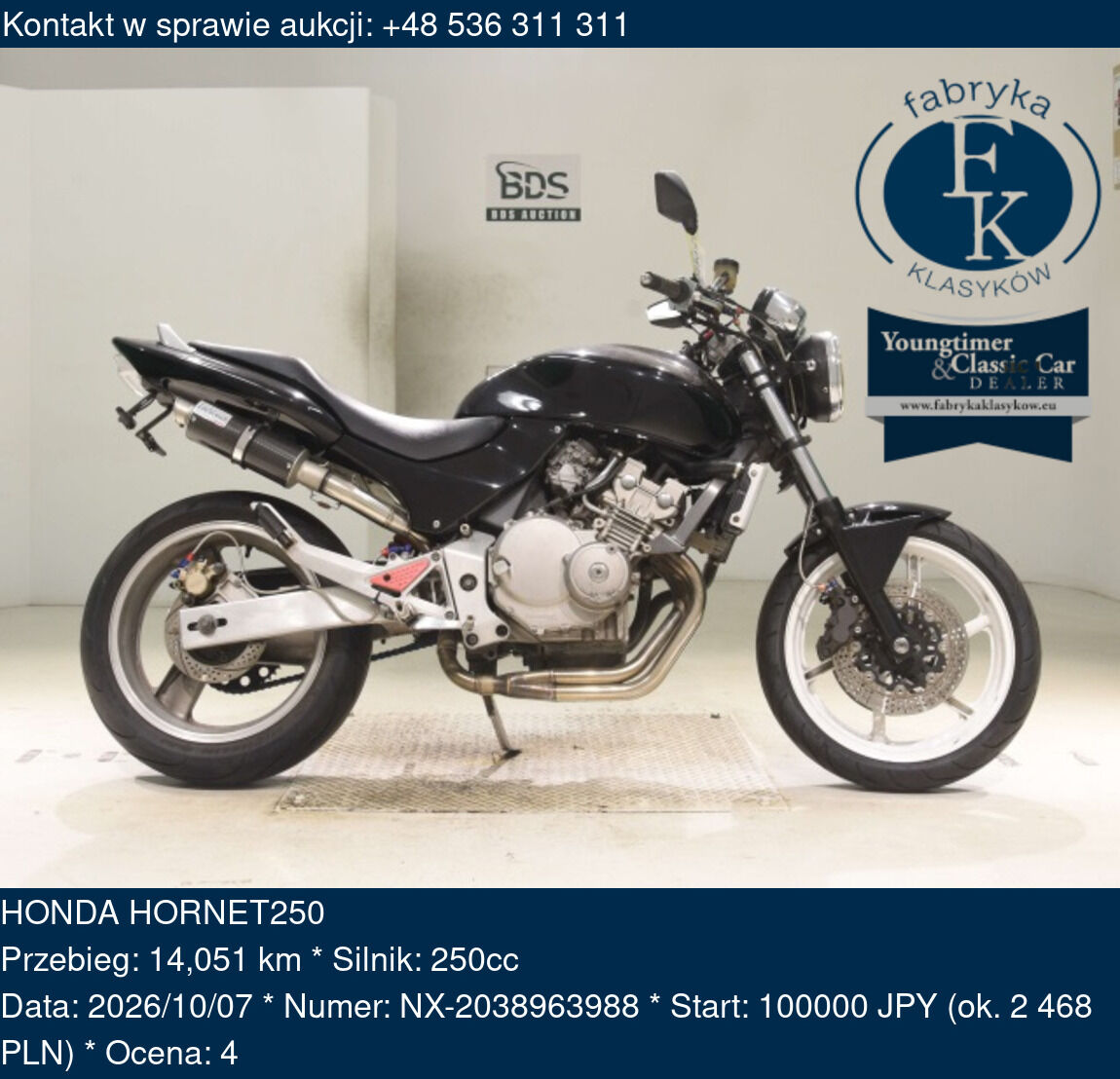 HONDA HORNET250  - zdjęcie 2
