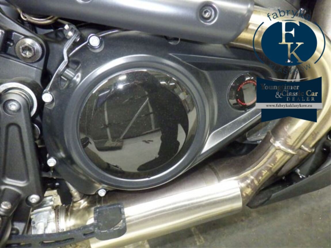 HARLEY-DAVIDSON PAN AMERICA 1250ST 2026 - zdjęcie 10