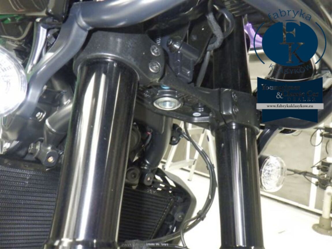 HARLEY-DAVIDSON PAN AMERICA 1250ST 2026 - zdjęcie 23