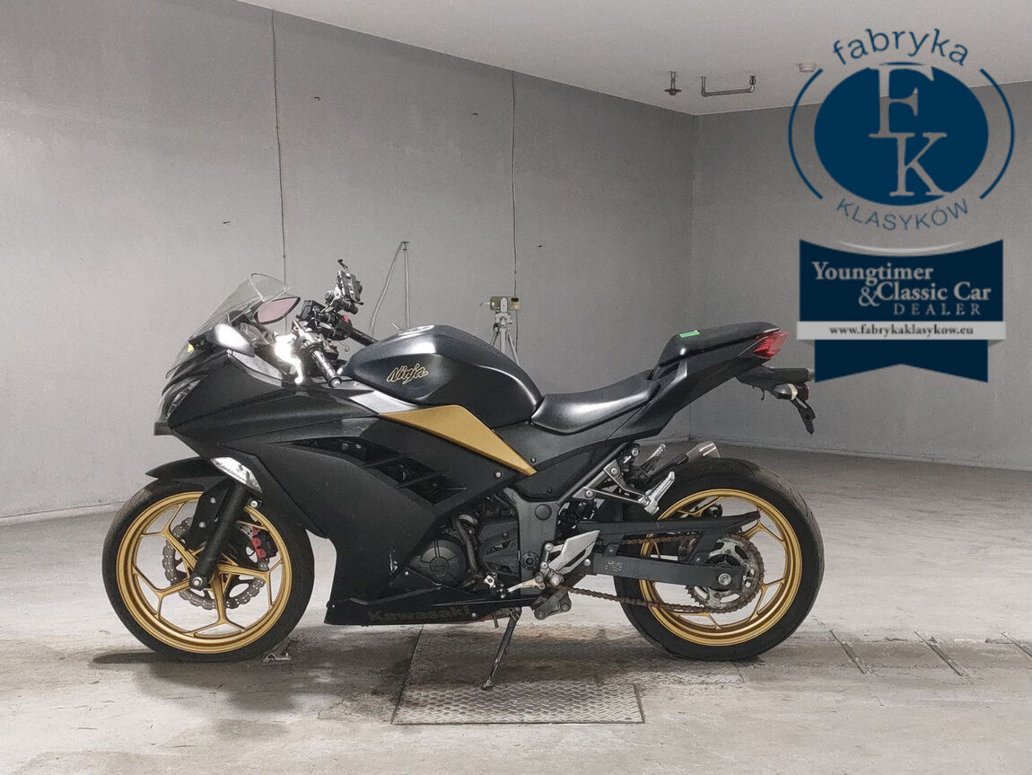 KAWASAKI NINJA250  - zdjęcie 3