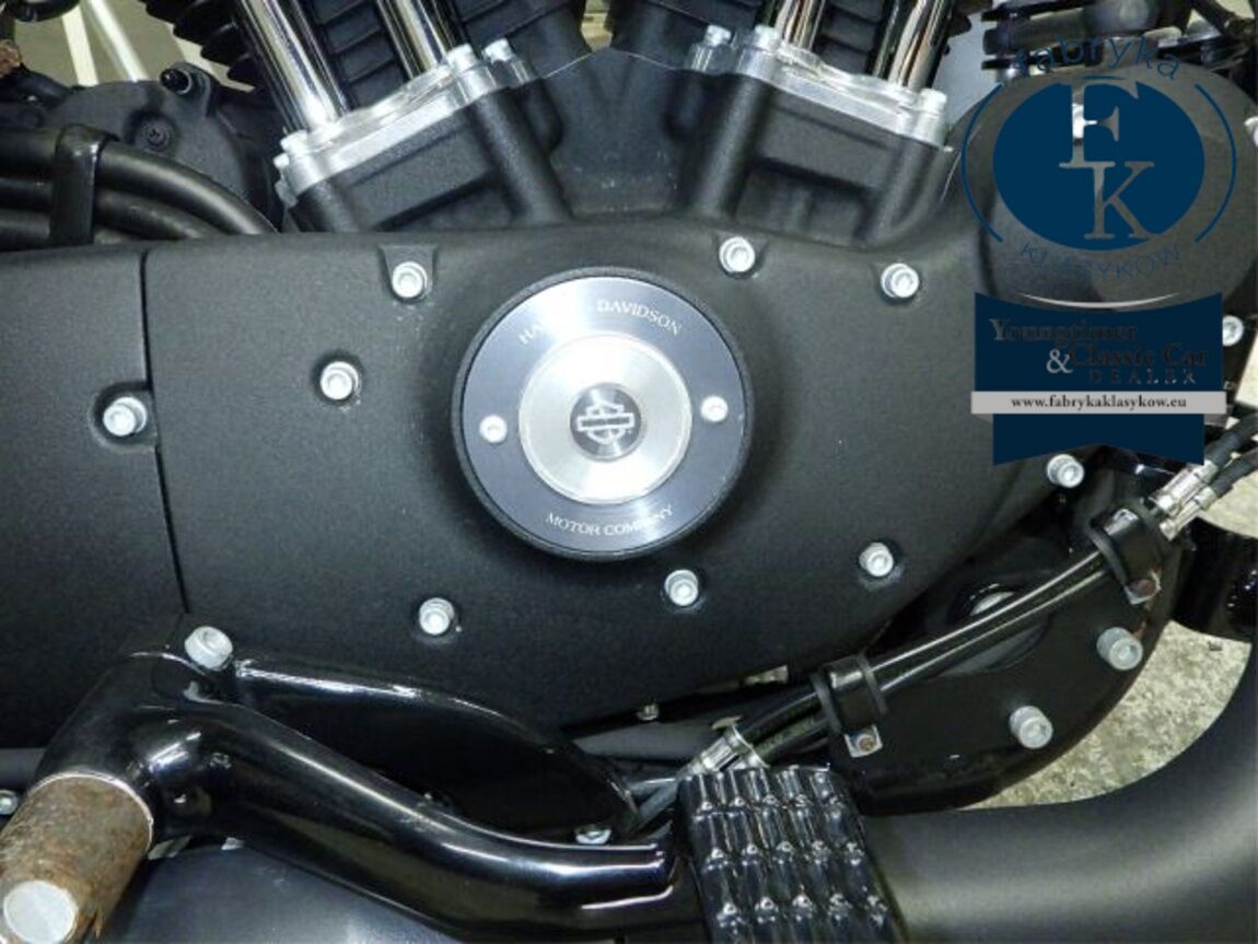 HARLEY-DAVIDSON XL883N 2018 - zdjęcie 9