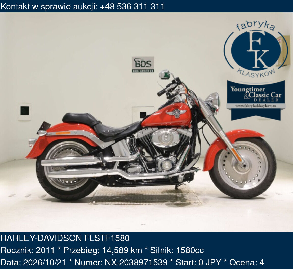 HARLEY-DAVIDSON FLSTF1580 2011 - zdjęcie 2