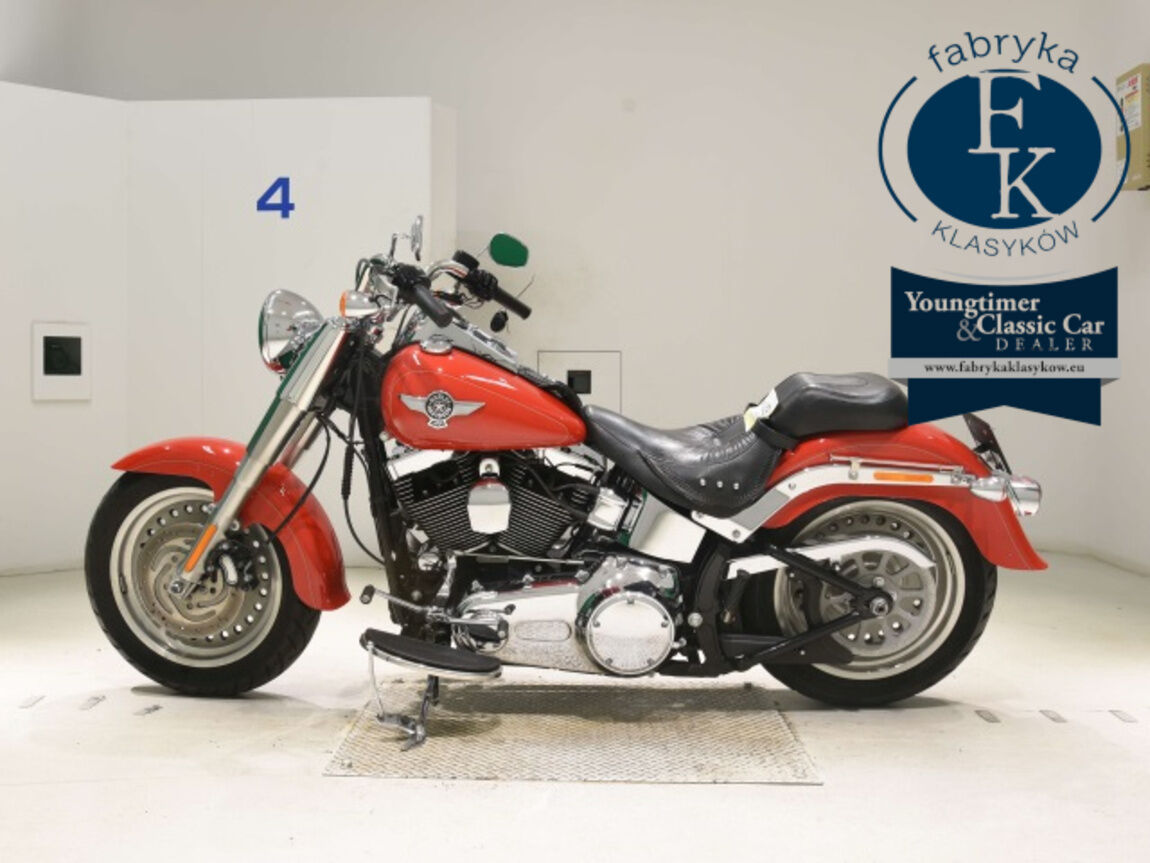 HARLEY-DAVIDSON FLSTF1580 2011 - zdjęcie 3