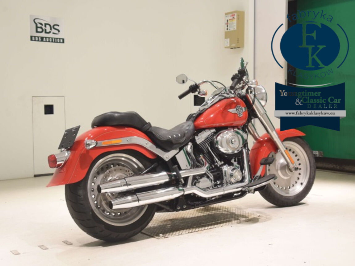 HARLEY-DAVIDSON FLSTF1580 2011 - zdjęcie 6