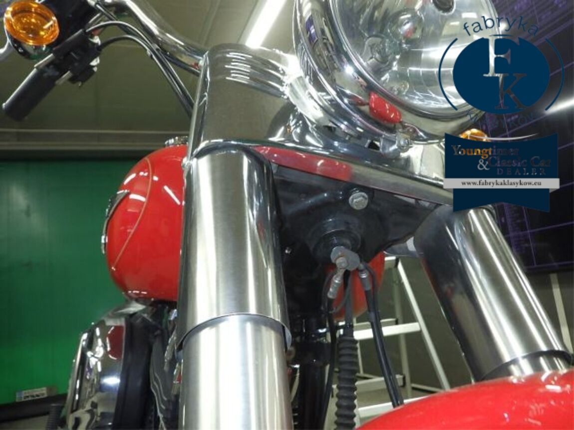HARLEY-DAVIDSON FLSTF1580 2011 - zdjęcie 24