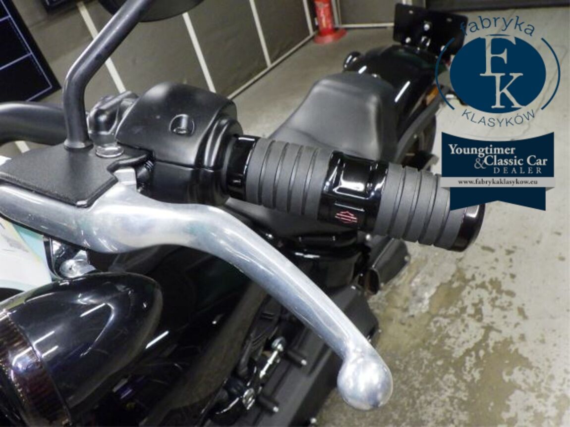 HARLEY-DAVIDSON FXLRS1870 2021 - zdjęcie 21