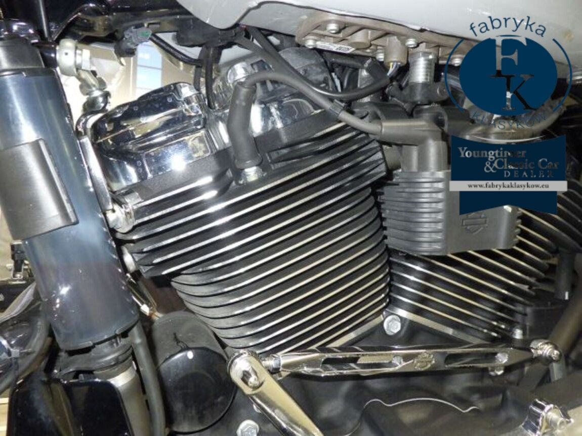 HARLEY-DAVIDSON FLTRX1920 2024 - zdjęcie 12