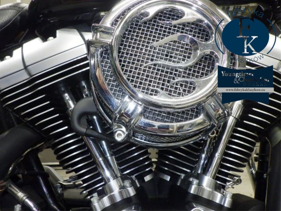 HARLEY-DAVIDSON FLSTFB1690 2016 - zdjęcie 9