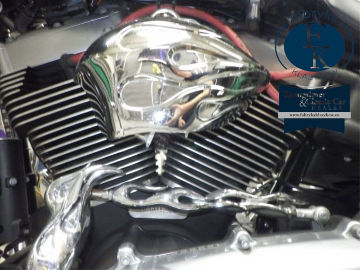 HARLEY-DAVIDSON FLSTFB1690 2016 - zdjęcie 12