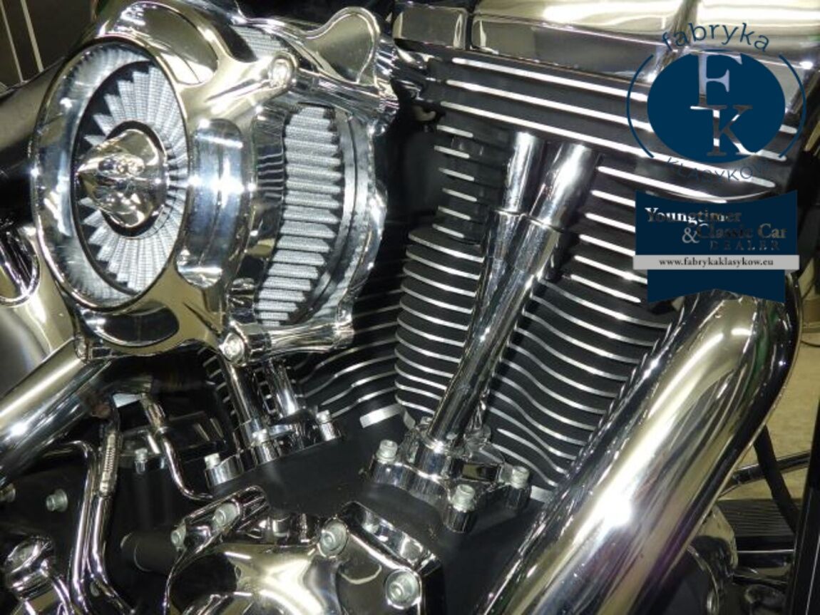 HARLEY-DAVIDSON FLSTF1580 2007 - zdjęcie 9