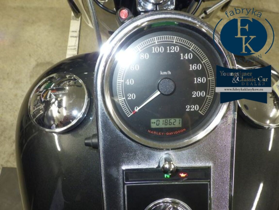 HARLEY-DAVIDSON FLSTF1580 2007 - zdjęcie 13